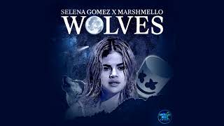 Selena Gomez - Wolves (Live at American Music Awards 2017 / Audio)