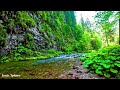 tatra 4k ultra hd • stunning footage scenic relaxation film with calming music