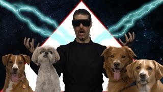 GET DOGS PUMPED