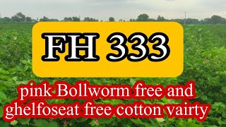 Fh 333 pink free and ghelfoseat free cotton vairty || #cotton