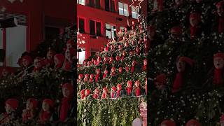 Singing Christmas Tree🎄 Must Visit Zurich Switzerland #merrychristmas #2024 #kids #singing #festival