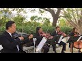 Viva La Vida (Coldplay) - Jopa String Quartet