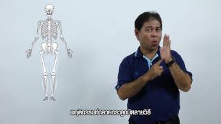 พฤติกรรมทำลายกระดูก ตอนที่10 สะพายกระเป๋าข้างเดียว (Deaf Version)