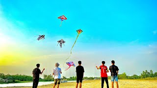 Thả Diều Ngoài Cảng - Diều Rắn Hổ Mang | Fly A Kite