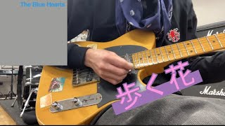 歩く花（ザ・ブルーハーツのかゔぁー）