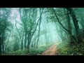 Ancient Forest • Calming Fantasy Music for Sleep & Relaxation