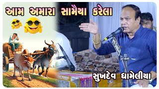 સુખદેવ ધામેલીયા મોજડી | dayro live 2025 | sahity | studio pruthvi | bhajan #joks