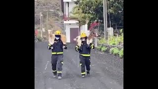 Los bomberos rescatan cabras en La Palma