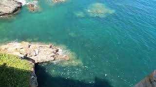 [4K] Natural Beauties | Aerial View | Sea Sunlight [FREE Stock Footage]