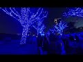 青の洞窟 shibuya 2022 ～代々木公園ケヤキ並木