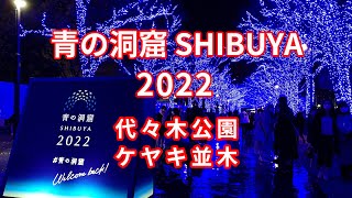 青の洞窟 SHIBUYA 2022 ～代々木公園ケヤキ並木