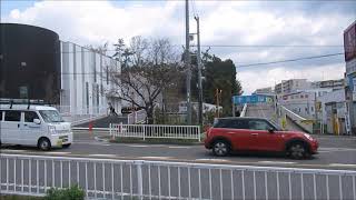 香里団地の桜並木３