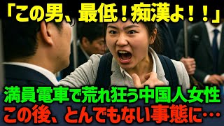 【海外の反応】「この男、最低！痴漢よ！」満員電車で荒れ狂う在日中国人女性。この後、とんでもない事態に…