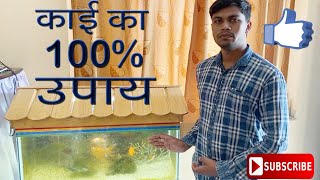 काई का 100% उपाय | Kai nhe lagega kavi | Algae Problem Solve