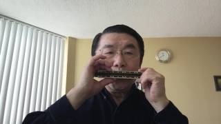 《二月里来好春光》Tremolo Harmonica Solo口琴独奏