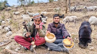 A Shepherd Saved Me From An Angry Dog ATTACK!