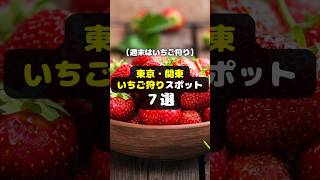 【週末はいちご狩り】東京・関東いちご狩りスポット７選！新規オープン施設も #shorts #いちご狩り #食べ放題 #アクティビティ #週末 #お出かけ