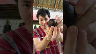 Do you know about this mangosteen secret? #shorts #mangosteen