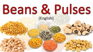 Beans and Pulses