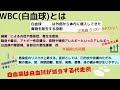 「crpとwbcってどう違う？」血液検査「crp」と「wbc」について【超簡単解説】