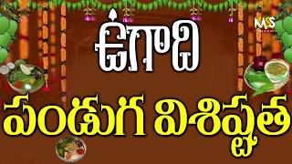 Ugadi 2019 | Sri Vikari Nama Samvathsaram | Ugadi Pachadi | Importance Of Ugadi