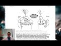 depression and glutamate