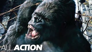 Capturing King Kong | King Kong | All Action