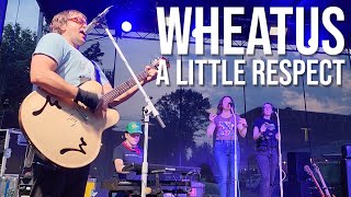 Wheatus - A Little Respect (Erasure cover) (Wayne Music Festival)