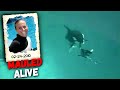 HORRIFYING Footage of Killer Whale Fatally Mauling Trainer Dawn Brancheau