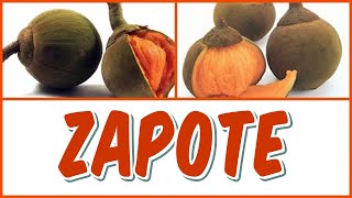 ¿CONOCES EL ZAPOTE Y SUS BENEFICIOS PARA LA SALUD?