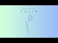 Robinou - Tulip (Official Audio)