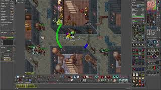 Tibia 300 points oramond (probe edition , 8lvls) (PL)