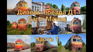 Дизель-поезда Д1 часть 1. Diesel multiple units D1 built by the Ganz-Mavag plant in Budapest. Part 1