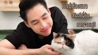 ทาสแมวต้องดู : คาเฟ่แมว สไตล์ญี่ปุ่น @ Lazy cats cafe’  กาญจนบุรี  l STYLE MAI 🐈