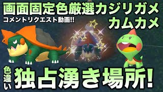 【画面固定!!移動なし色厳選】カジリガメ・カムカメ編!!【ポケモンSV/スカーレット・バイオレット】