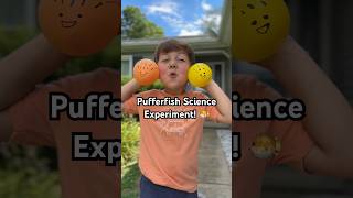 Pufferfish Science Experiment! 🐡 #momlife #scienceexperiment #science #learningthroughplay #shorts