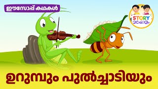 ഉറുമ്പും പുൽച്ചാടിയും (The Ant And The Grasshopper) Aesop’s Fables in Malayalam | Malayalam Learning