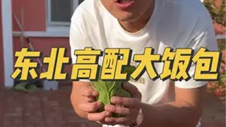 东北高配大饭包嘎嘎香！我的乡村生活 铁哥我来了 日常vlog 记录真实生活 东北生活