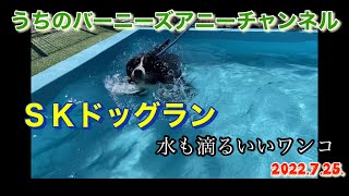 ＳＫドッグラン　水も滴るいいワンコ　2022.7.25.