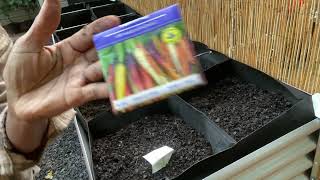 Sowing Seeds Outdoors : Planting Hope AFTER my first frost date