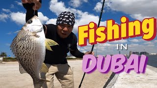 4k Nagroor Fishing in Jaddaf, NEW Fishing Spot in Dubai 2024