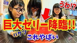 チャレンジ！！成功するのか？巨大バケツゼリー作ってみたよ！！