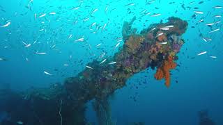 Fujikawa Maru 2019