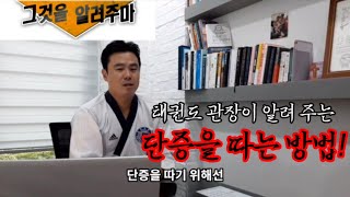 [그것을 알려주마] 단증을 따는 방법-태권도 관장이 알려줍니다!(실제 심사 영상 포함)