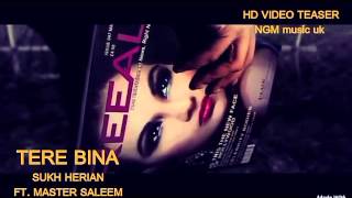 Tere Bina | Master Saleem ft. Sukh Herianz |