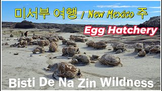 화성 같은 지구  / Bisti De Na Zin Wildness (Egg Hatchery)