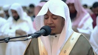 Quran Recitation Really Beautiful Amazing Crying | Soft Recitation by Salah Al Musally
