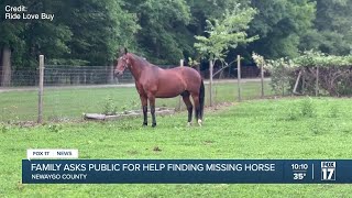 Newaygo Co. family pleads for help finding missing horse, offers $1K reward