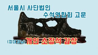 자연의신비 서울시 사단법인 수석연합회 고문(정대감님)소장석 감상 viewing wonderful stone