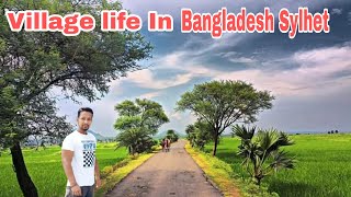 Village of sylhet | সিলেটের অপরূপ চমৎকার সুন্দর গ্রাম@TravelSylhetbd